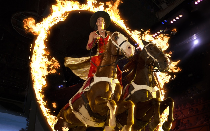 Stampede19