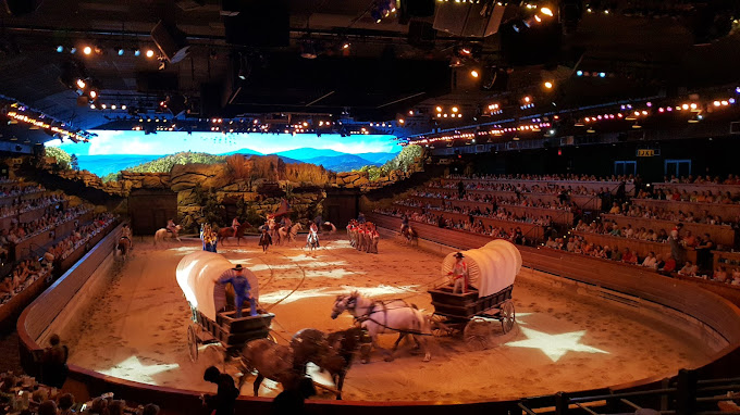 Stampede6